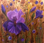 Prairies mauves